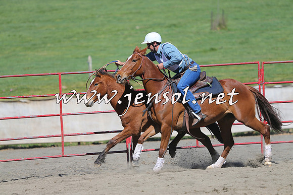 TumbarumbaStockmensChallenge_0413