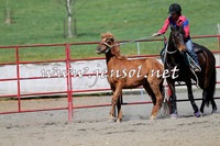 TumbarumbaStockmensChallenge_0263