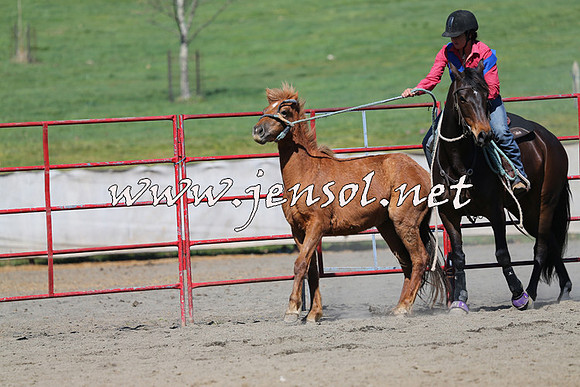 TumbarumbaStockmensChallenge_0263