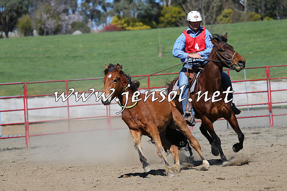 TumbarumbaStockmensChallenge_0345