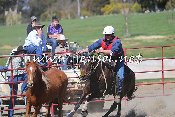 TumbarumbaStockmensChallenge_0554