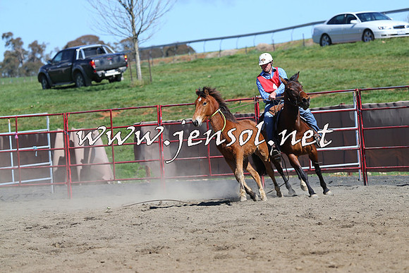 TumbarumbaStockmensChallenge_0348