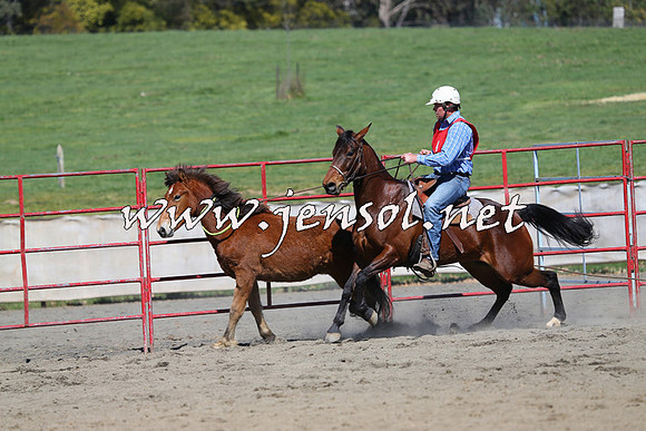 TumbarumbaStockmensChallenge_0337