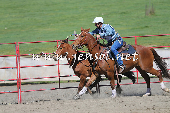 TumbarumbaStockmensChallenge_0415