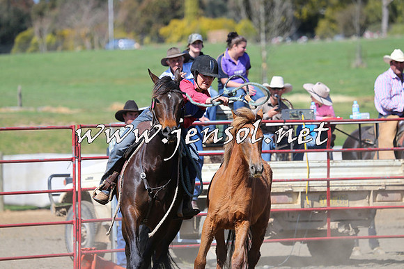 TumbarumbaStockmensChallenge_0236