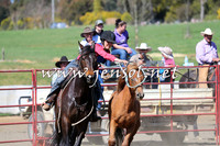TumbarumbaStockmensChallenge_0238