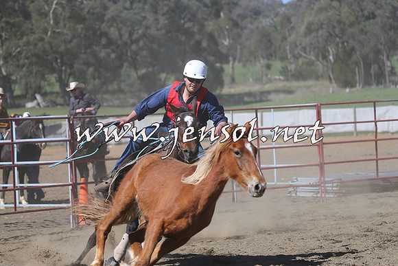 TumbarumbaStockmensChallenge_0550