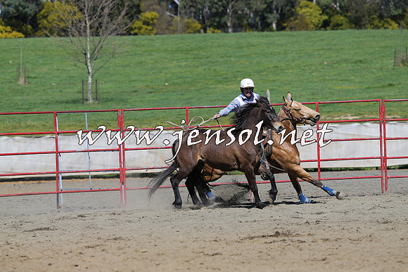 TumbarumbaStockmensChallenge_0494