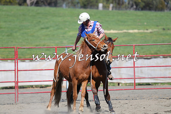 TumbarumbaStockmensChallenge_0393