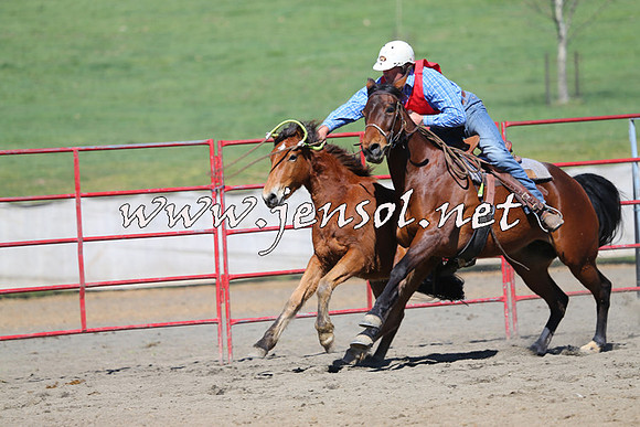 TumbarumbaStockmensChallenge_0327