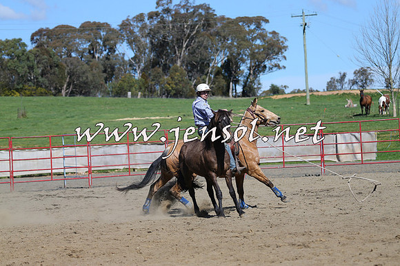 TumbarumbaStockmensChallenge_0505