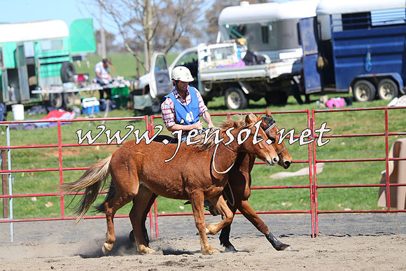 TumbarumbaStockmensChallenge_0366