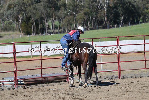 TumbarumbaStockmensChallenge_0565