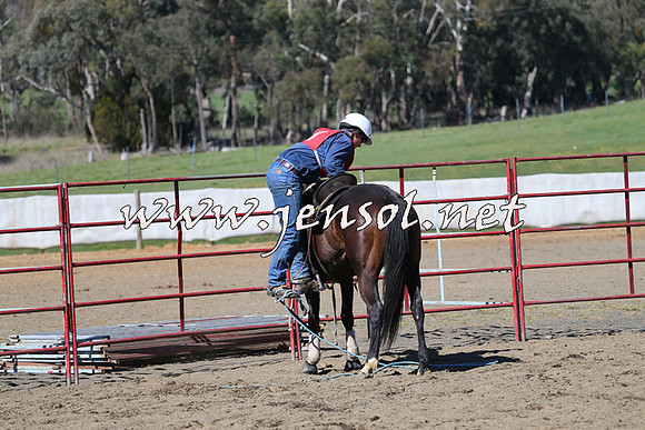 TumbarumbaStockmensChallenge_0563