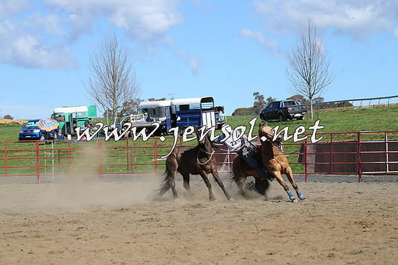 TumbarumbaStockmensChallenge_0524