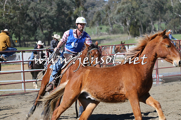 TumbarumbaStockmensChallenge_0357