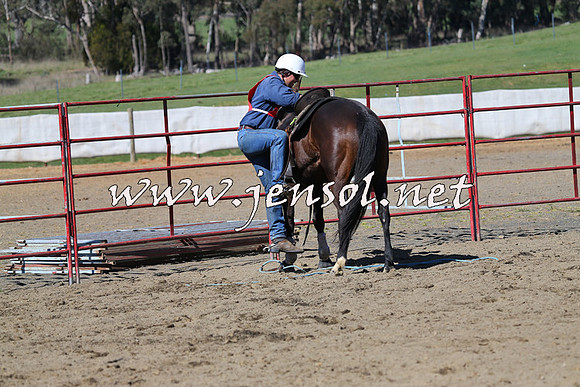 TumbarumbaStockmensChallenge_0560
