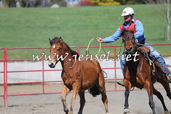 TumbarumbaStockmensChallenge_0308