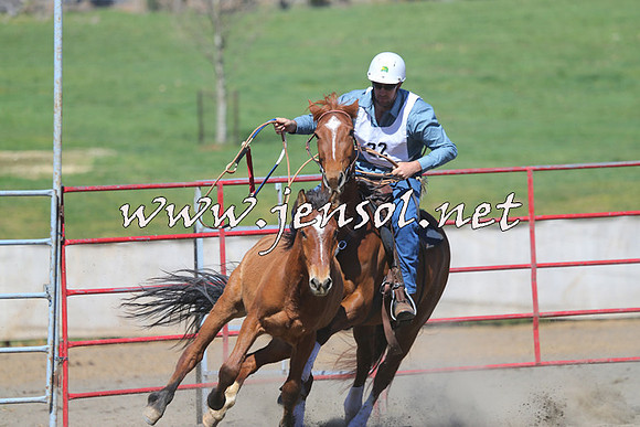 TumbarumbaStockmensChallenge_0417