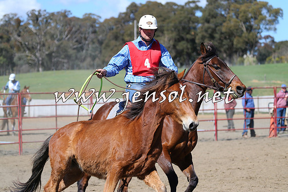TumbarumbaStockmensChallenge_0307