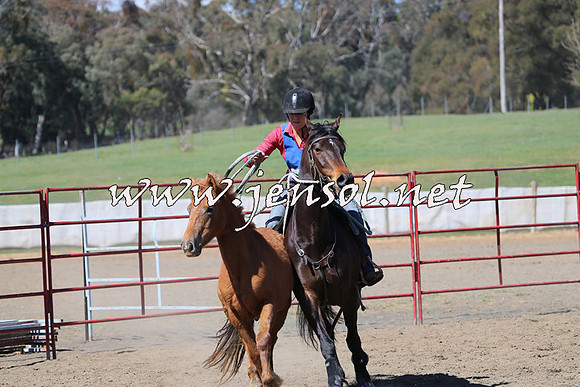 TumbarumbaStockmensChallenge_0224