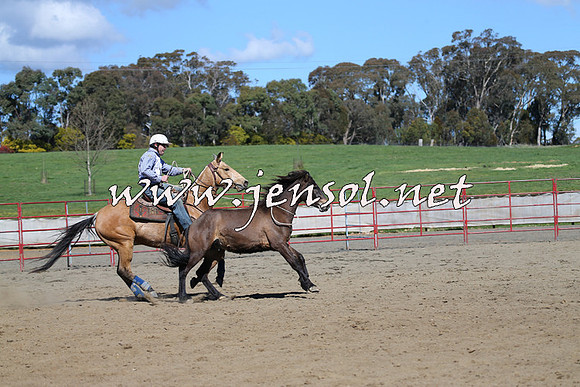 TumbarumbaStockmensChallenge_0516
