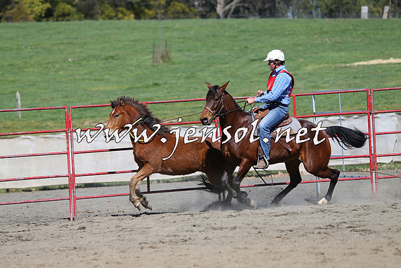 TumbarumbaStockmensChallenge_0339
