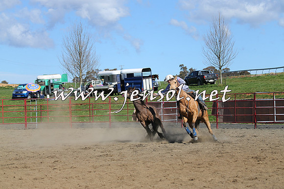 TumbarumbaStockmensChallenge_0520