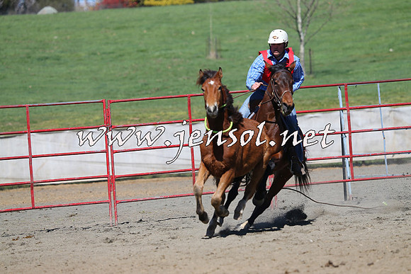 TumbarumbaStockmensChallenge_0342