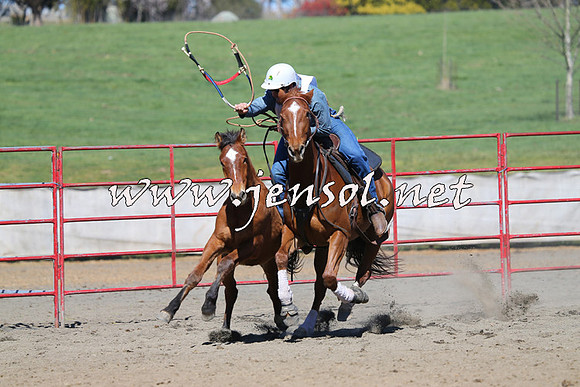 TumbarumbaStockmensChallenge_0458