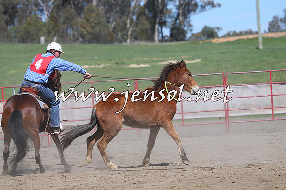 TumbarumbaStockmensChallenge_0354