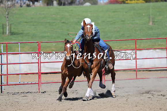 TumbarumbaStockmensChallenge_0452