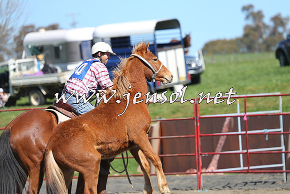 TumbarumbaStockmensChallenge_0384