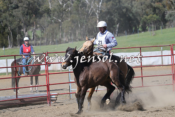 TumbarumbaStockmensChallenge_0480