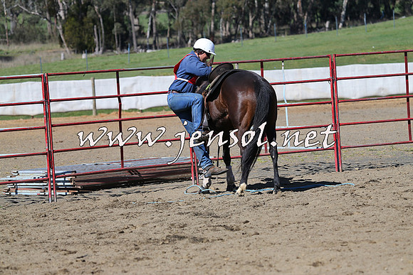 TumbarumbaStockmensChallenge_0559