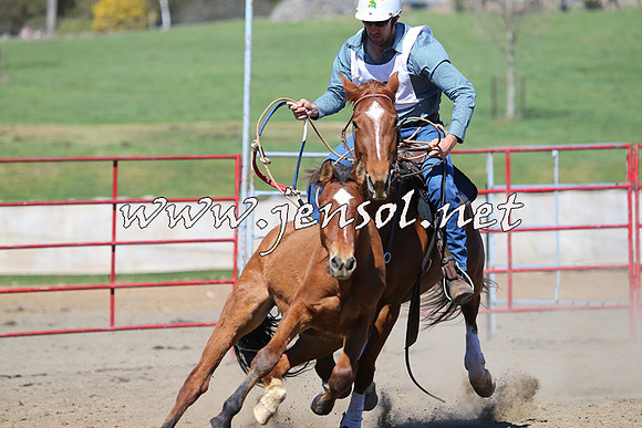 TumbarumbaStockmensChallenge_0459