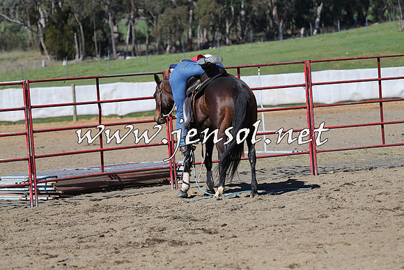 TumbarumbaStockmensChallenge_0561