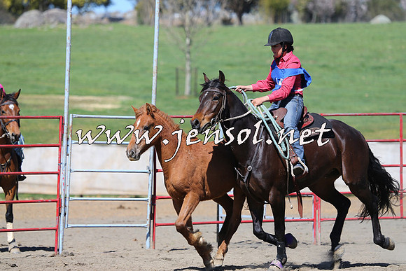 TumbarumbaStockmensChallenge_0217