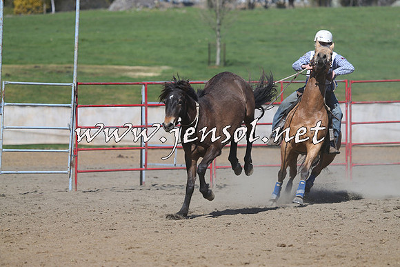 TumbarumbaStockmensChallenge_0526