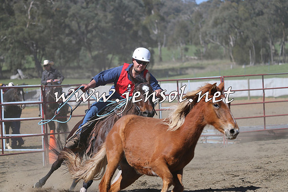 TumbarumbaStockmensChallenge_0551