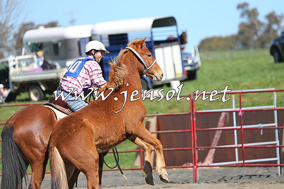 TumbarumbaStockmensChallenge_0385