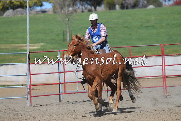 TumbarumbaStockmensChallenge_0359