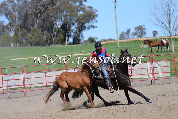 TumbarumbaStockmensChallenge_0245