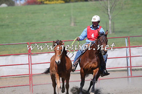 TumbarumbaStockmensChallenge_0304