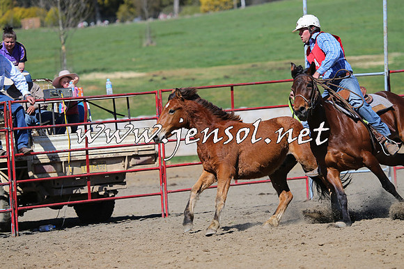TumbarumbaStockmensChallenge_0320