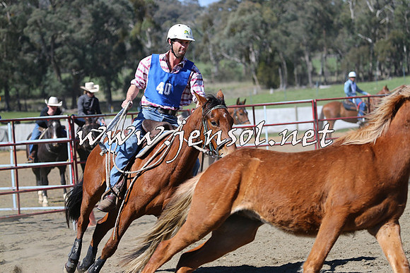 TumbarumbaStockmensChallenge_0358