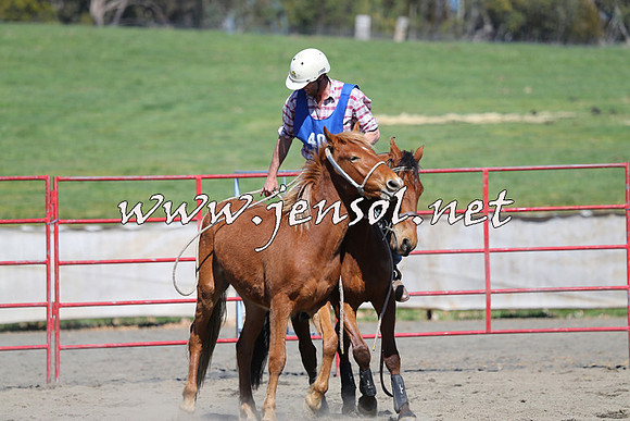 TumbarumbaStockmensChallenge_0392