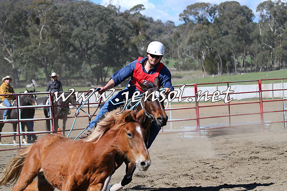 TumbarumbaStockmensChallenge_0553