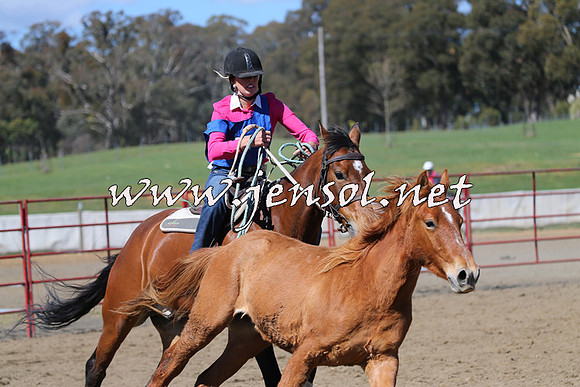 TumbarumbaStockmensChallenge_0285