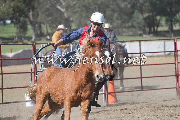 TumbarumbaStockmensChallenge_0536